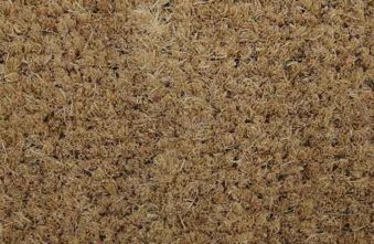 Brosse-Coco-BLANCHI Brosse-Coco-BLANCHI